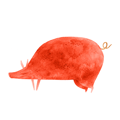Pig