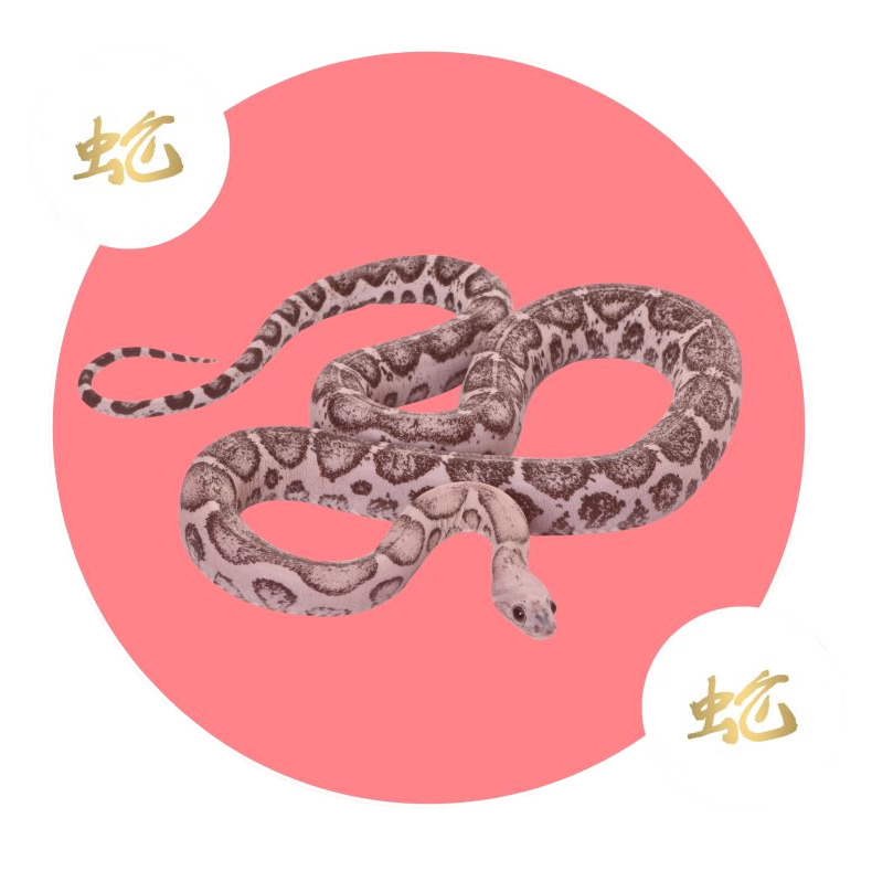 snake red background