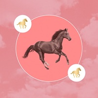 2026 Chinese Horoscope